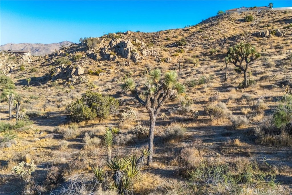 MLS #JT24179598 image #14