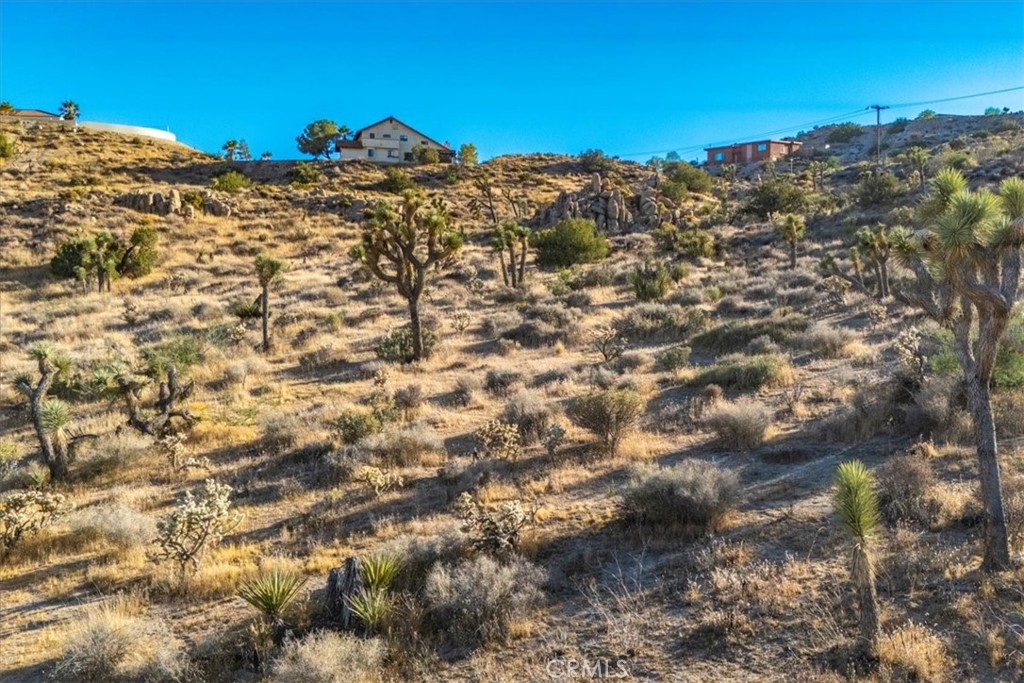 MLS #JT24179598 image #15