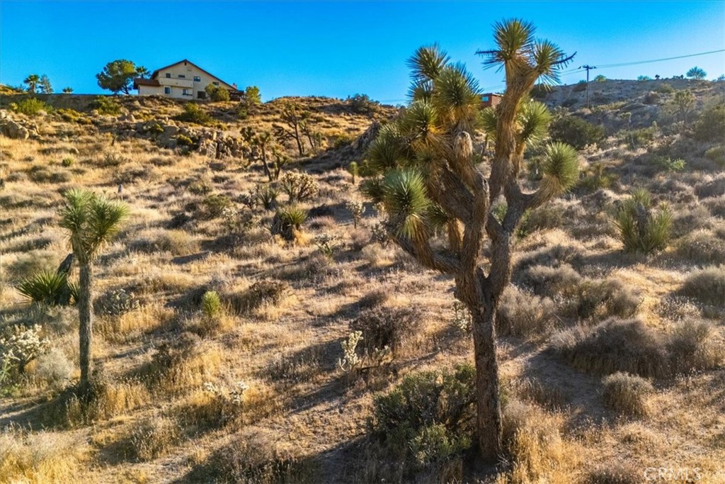 MLS #JT24179598 image #16