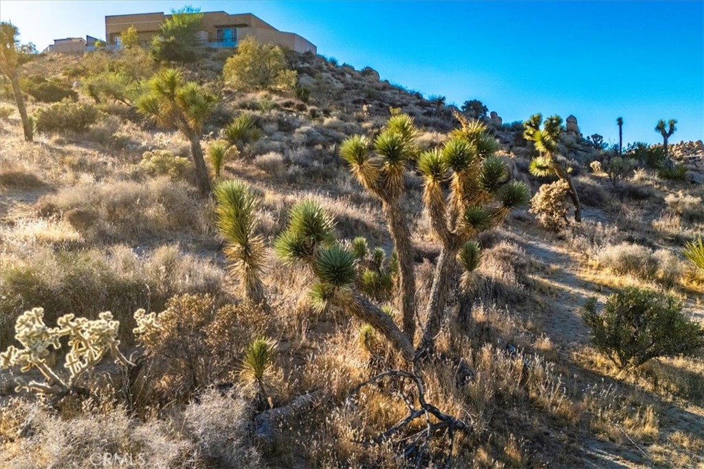 MLS #JT24179598 image #17