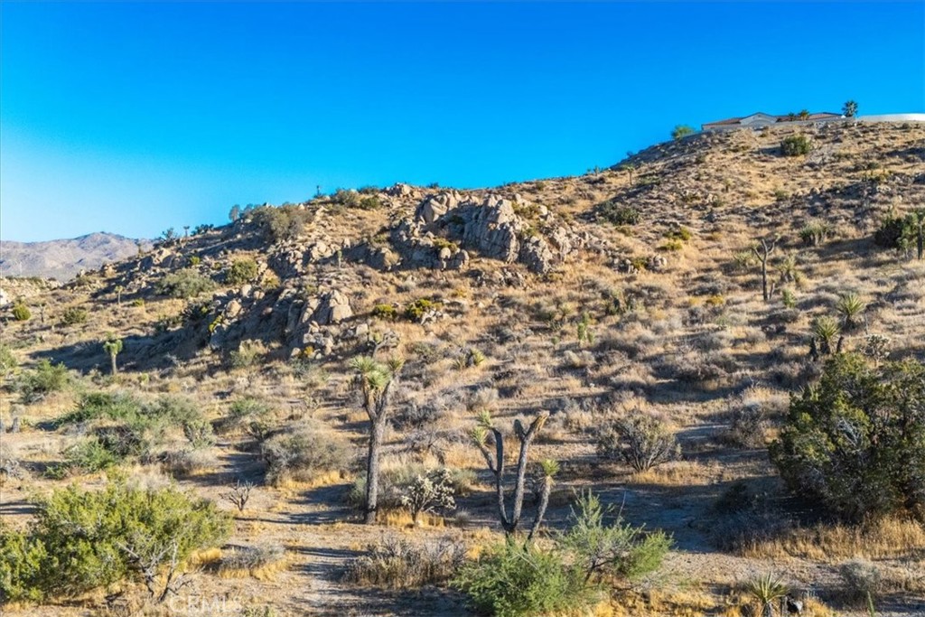 MLS #JT24179598 image #3