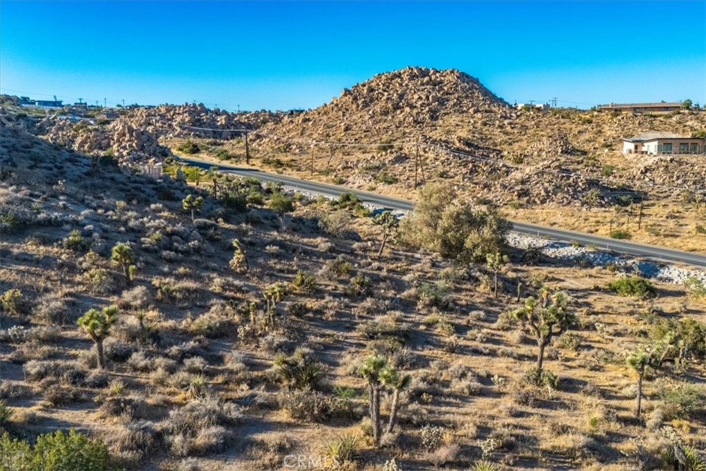 MLS #JT24179598 image #4