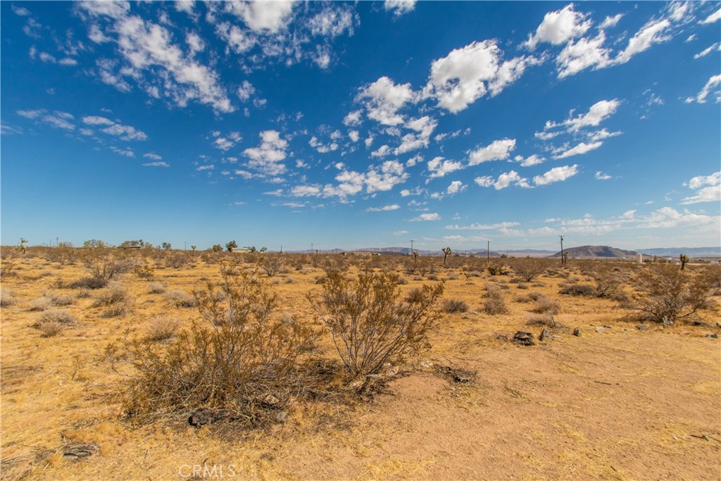 MLS #JT24181190 image #7