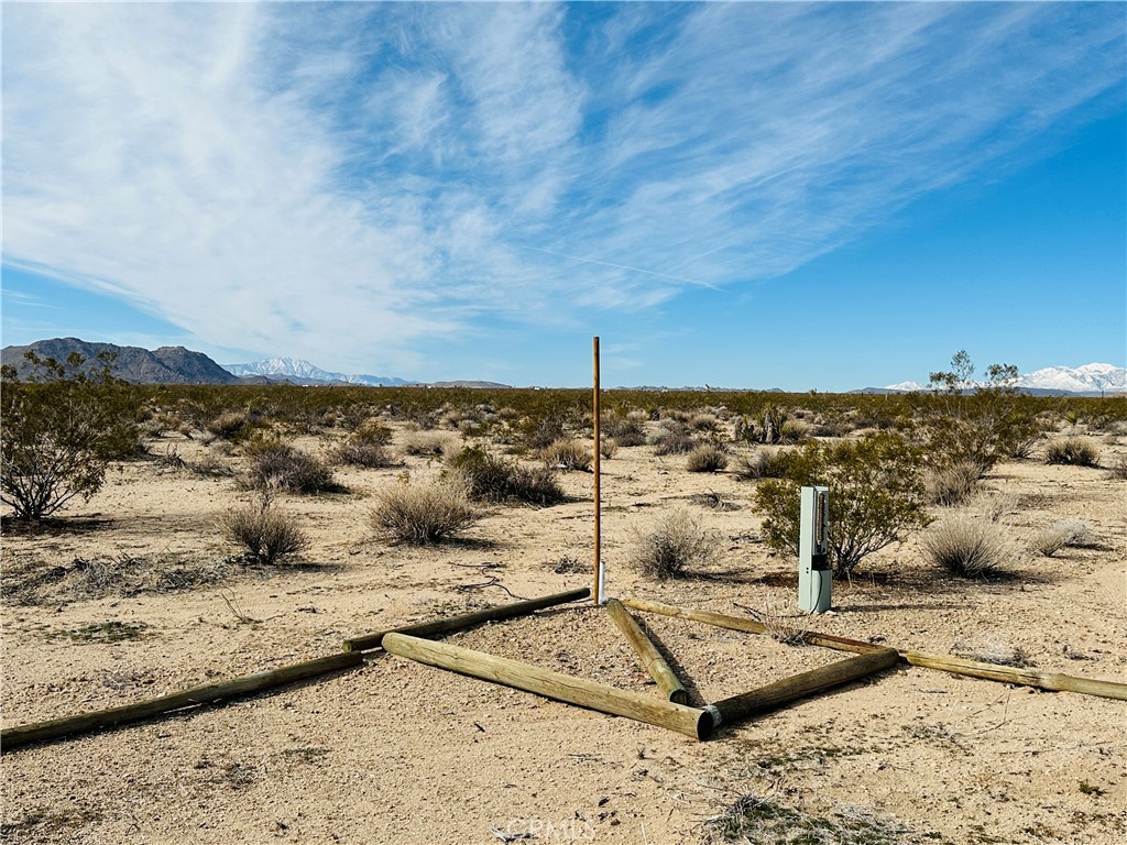 MLS #JT24182915 image #10