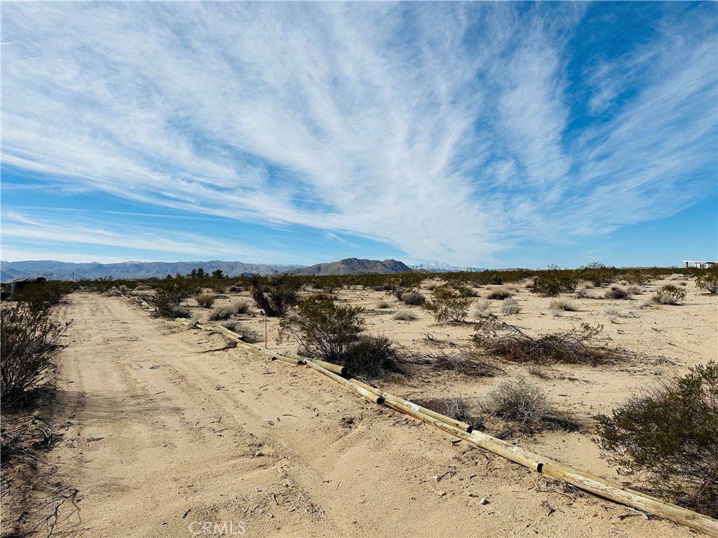 MLS #JT24182915 image #12