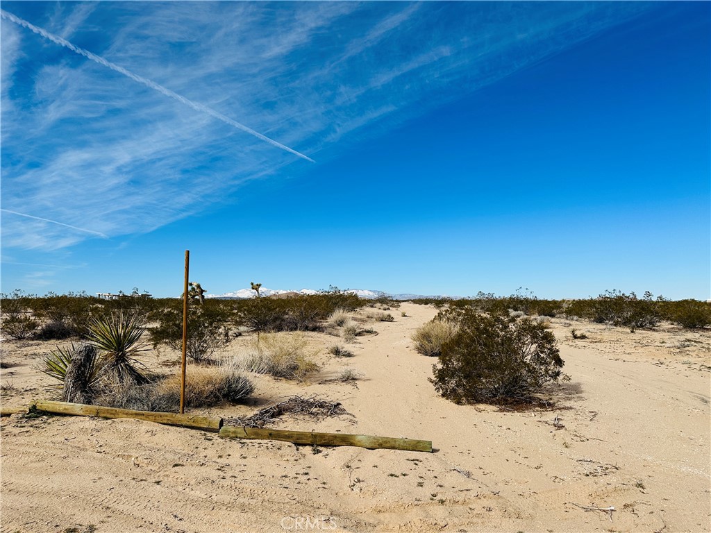 MLS #JT24182915 image #13