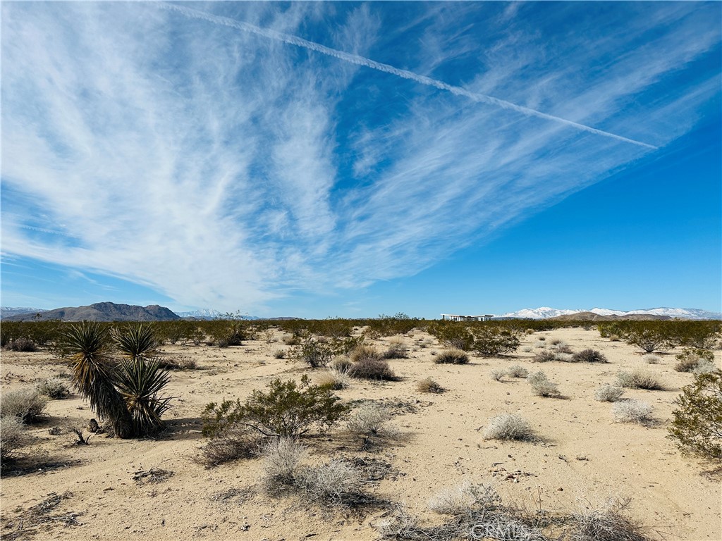 MLS #JT24182915 image #2