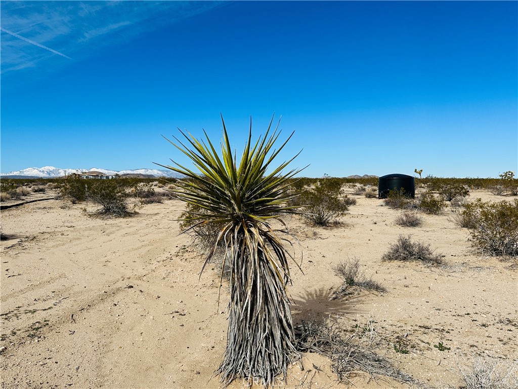 MLS #JT24182915 image #6