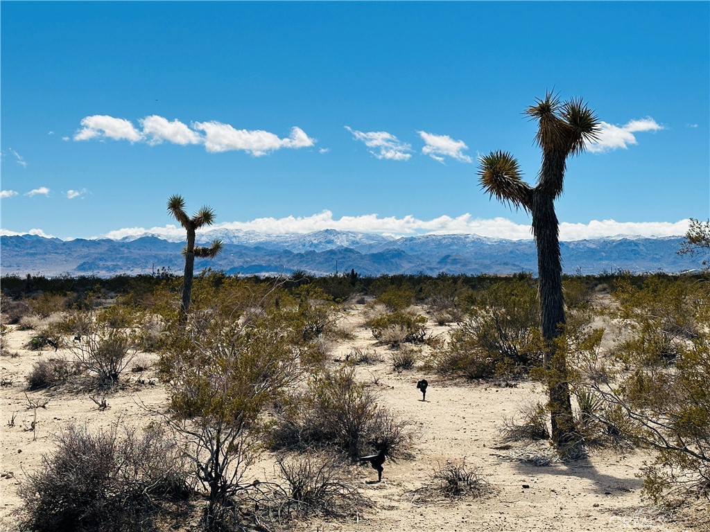 MLS #JT24182915 image #7