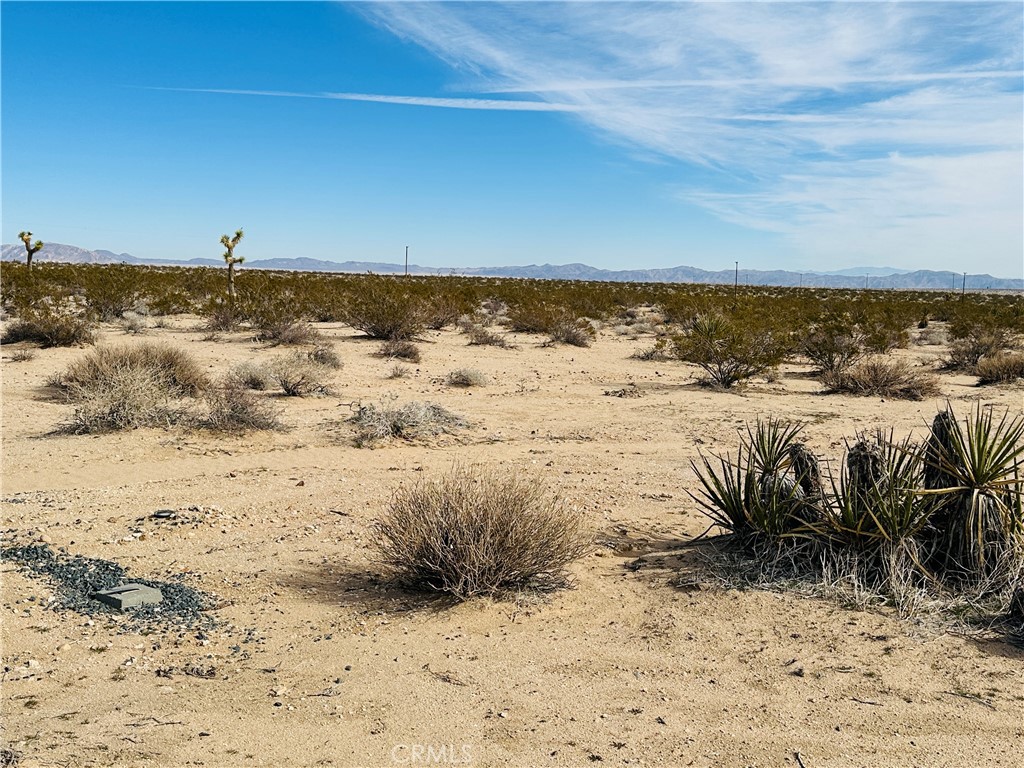 MLS #JT24182915 image #9