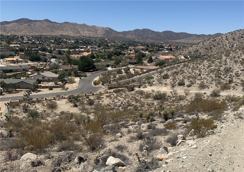 MLS #JT24186700 image #10