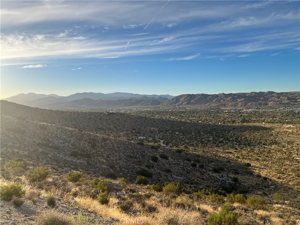 MLS #JT24186700 image #14