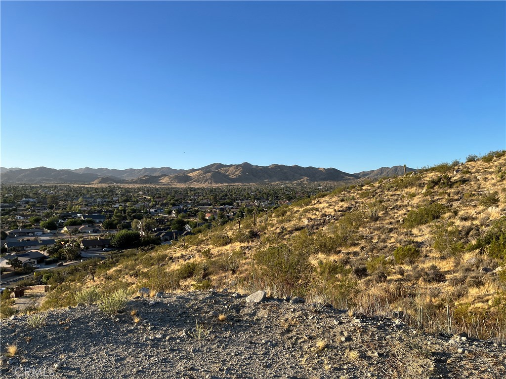 MLS #JT24186700 image #17