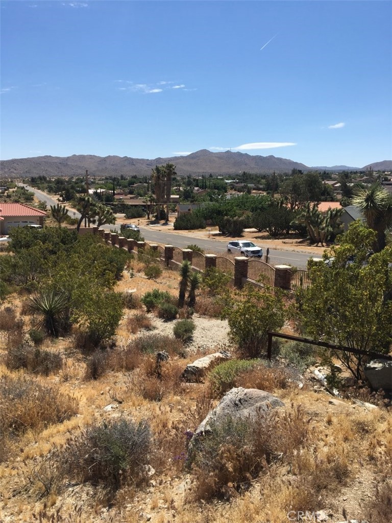 MLS #JT24186700 image #9