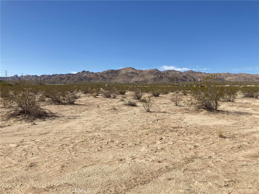 MLS #JT24190440 image #10