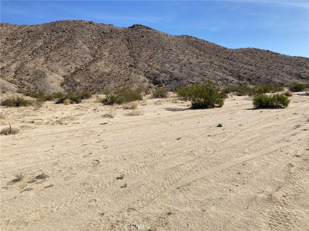 MLS #JT24190440 image #5