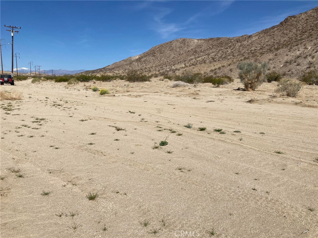 MLS #JT24190440 image #6