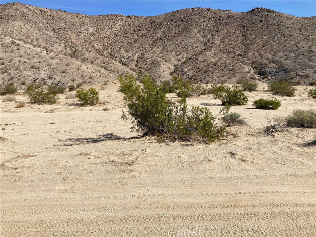 MLS #JT24190440 image #7