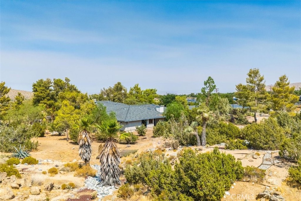 MLS #JT24191971 image #10