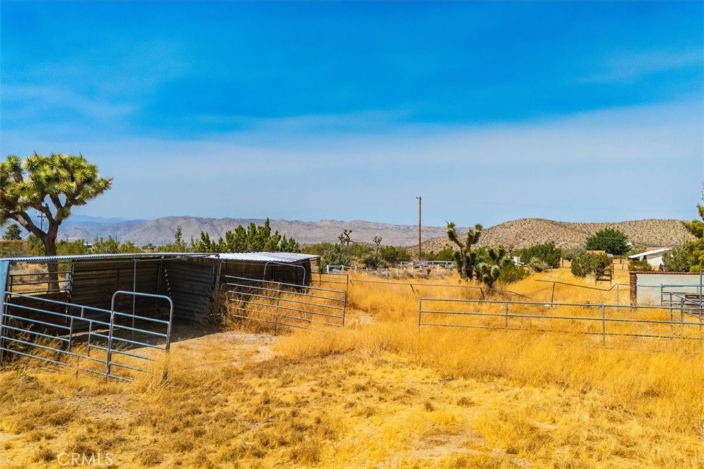 MLS #JT24191971 image #16