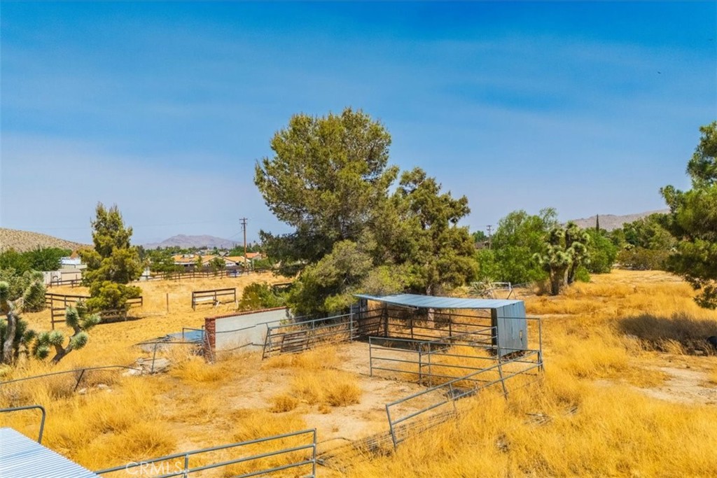 MLS #JT24191971 image #17