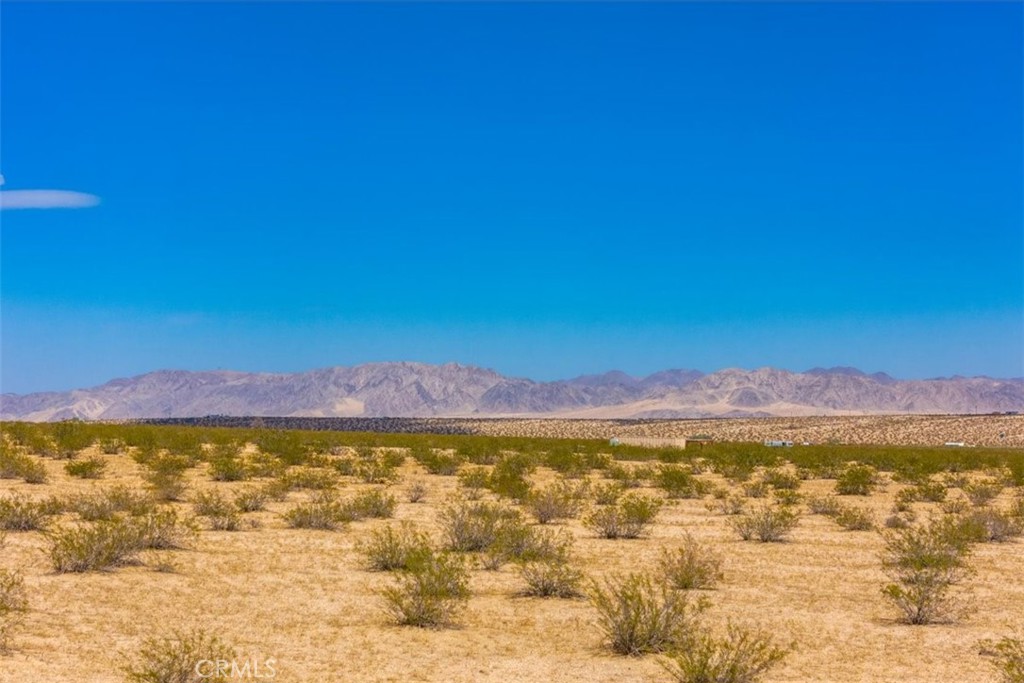 MLS #JT24196079 image #4