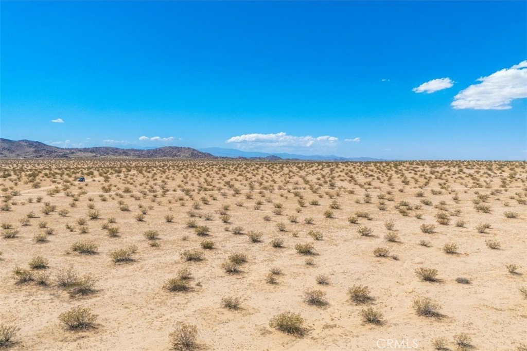 MLS #JT24196079 image #6