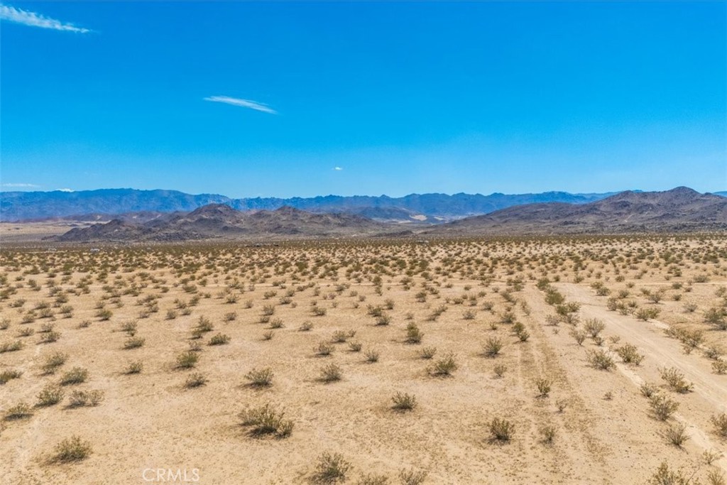 MLS #JT24196079 image #7