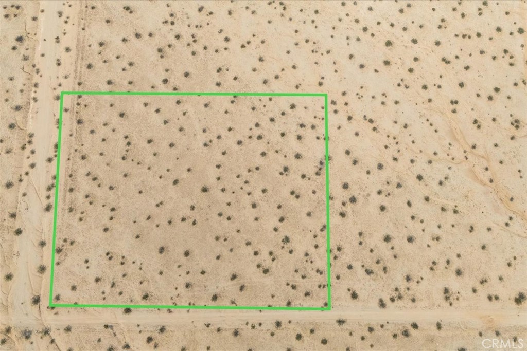 MLS #JT24196079 image #8