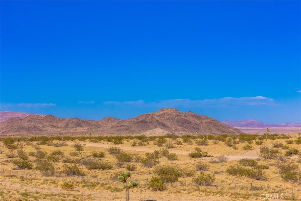 MLS #JT24205593 image #20