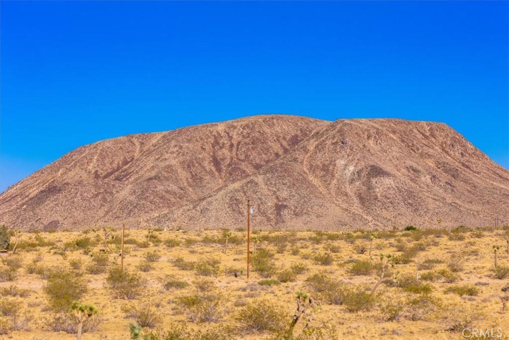 MLS #JT24205593 image #21