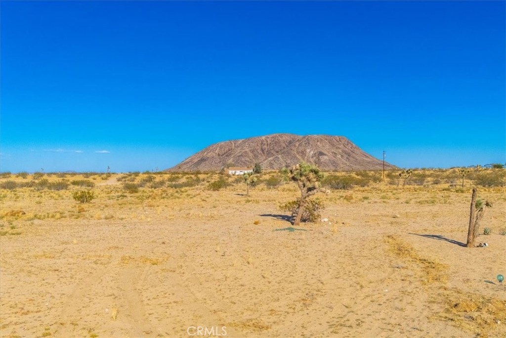 MLS #JT24205593 image #23