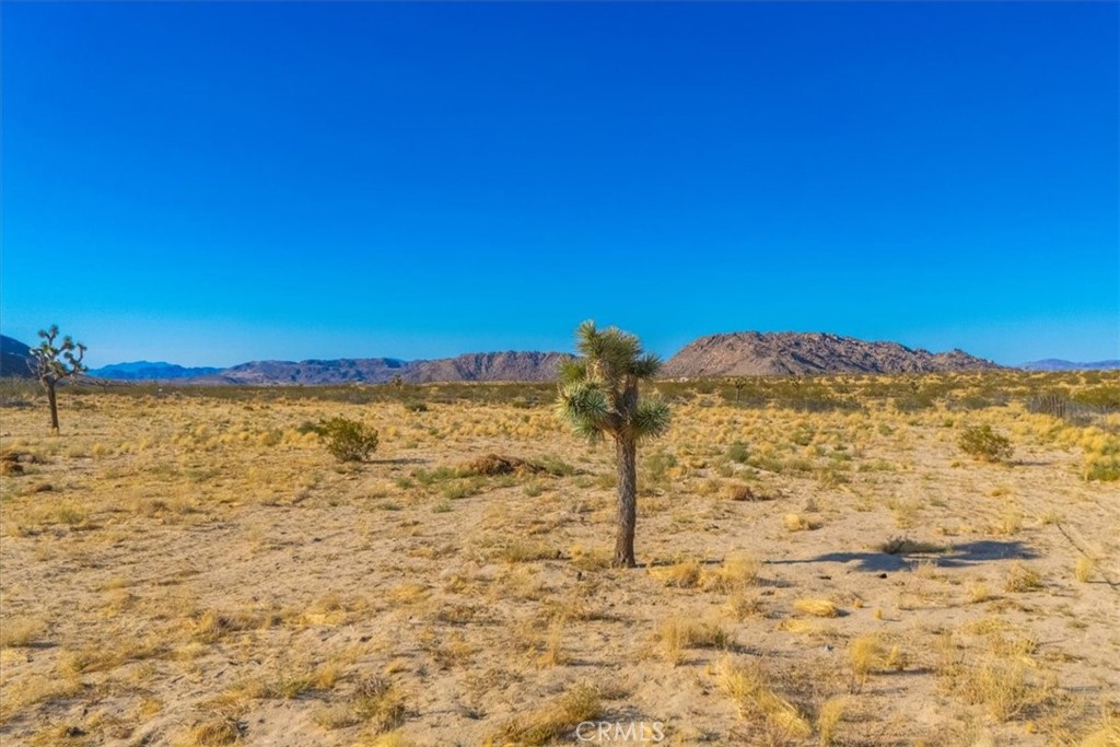 MLS #JT24205593 image #24