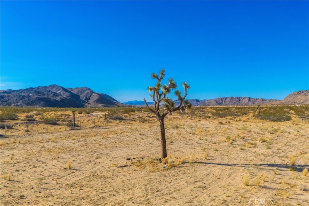 MLS #JT24205593 image #25