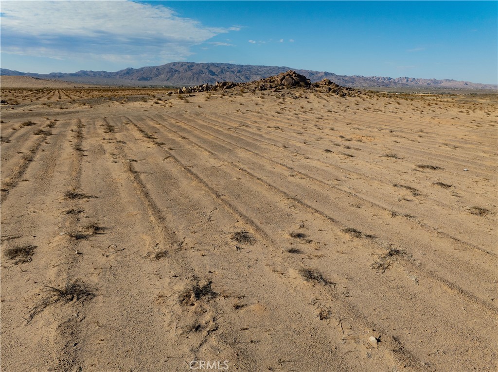 MLS #JT24206423 image #11