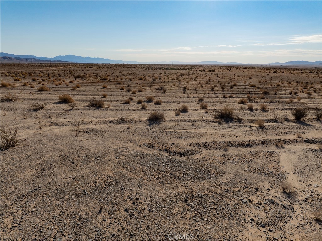 MLS #JT24206423 image #2