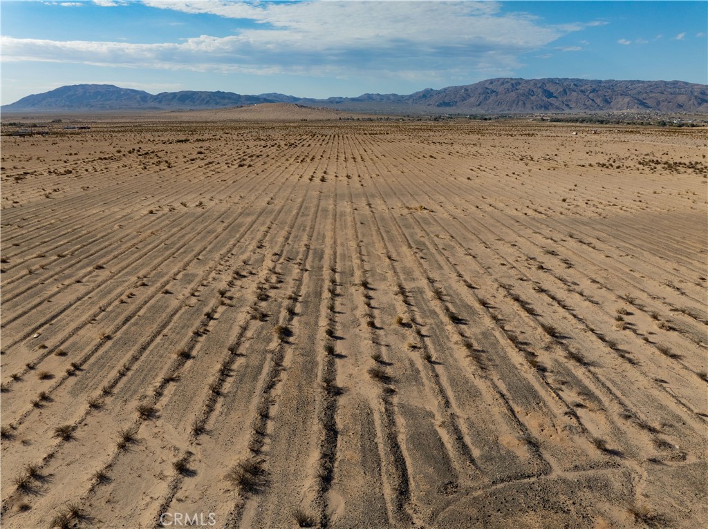 MLS #JT24206423 image #3