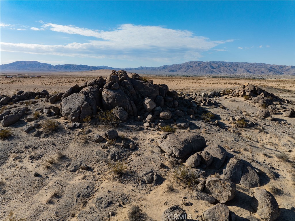 MLS #JT24206423 image #7