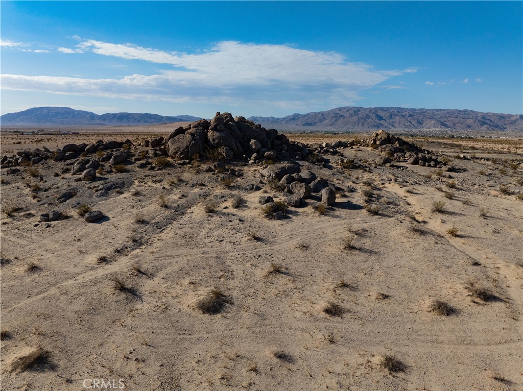 MLS #JT24206423 image #8