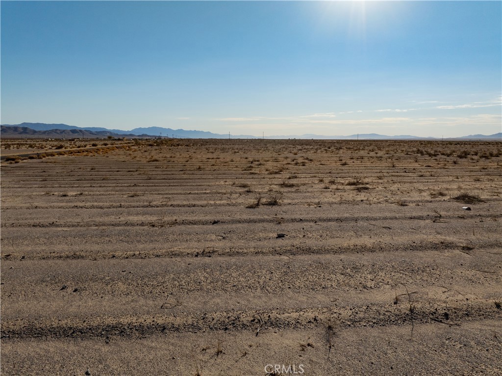 MLS #JT24206423 image #9