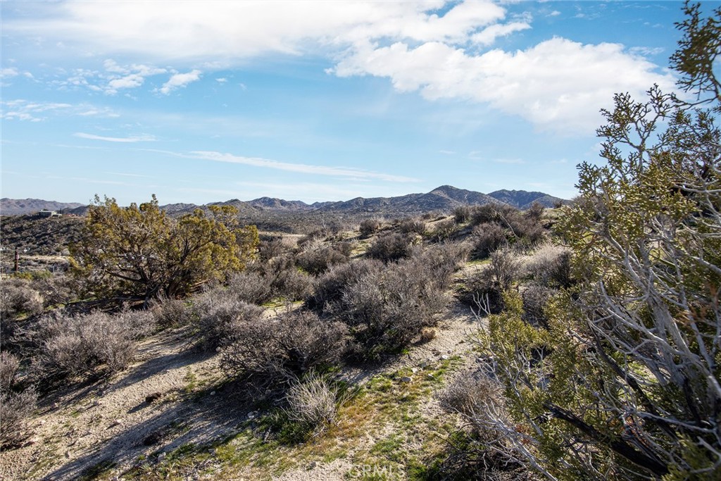 MLS #JT24207277 image #2