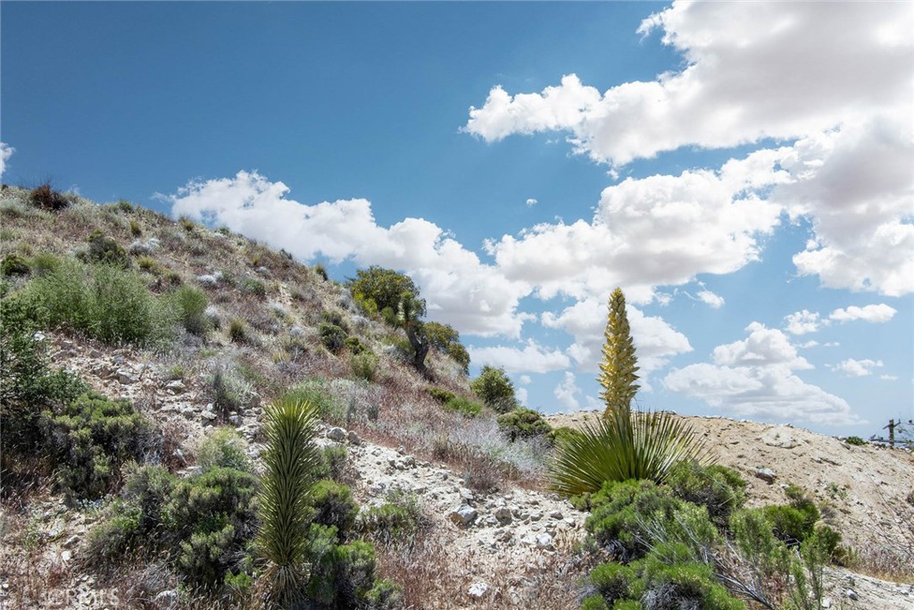 MLS #JT24207293 image #1