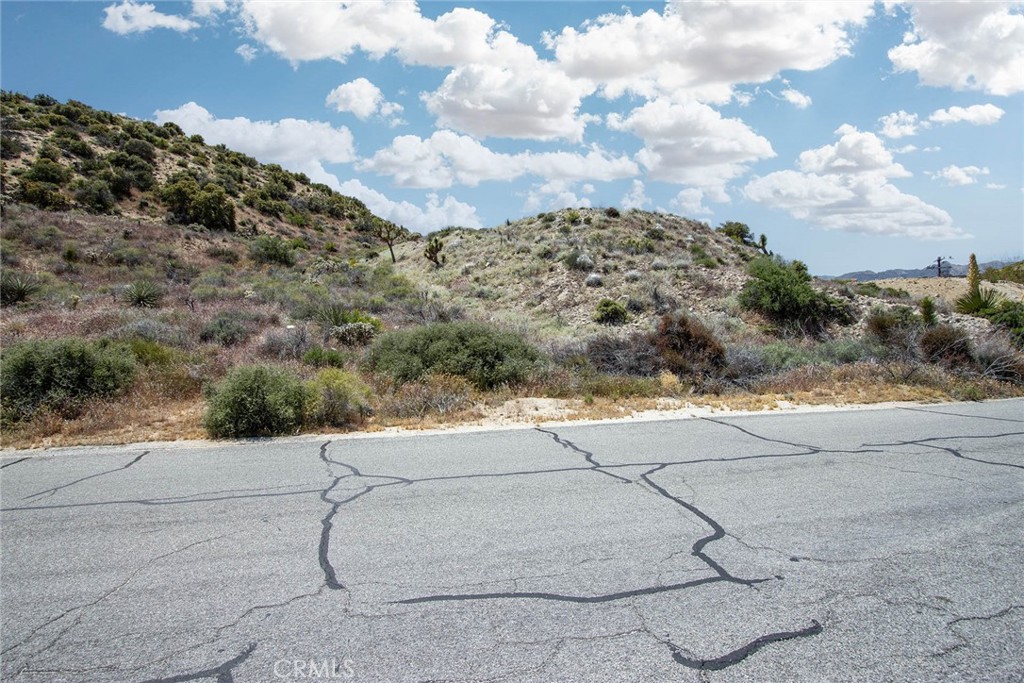 MLS #JT24207293 image #3