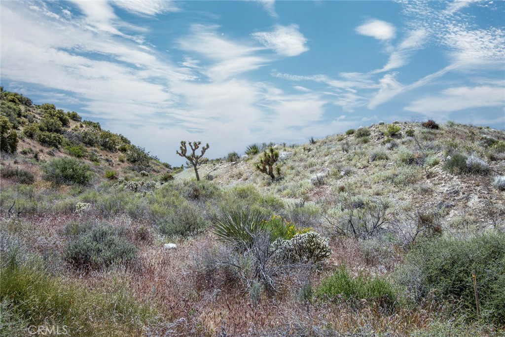 MLS #JT24207293 image #6