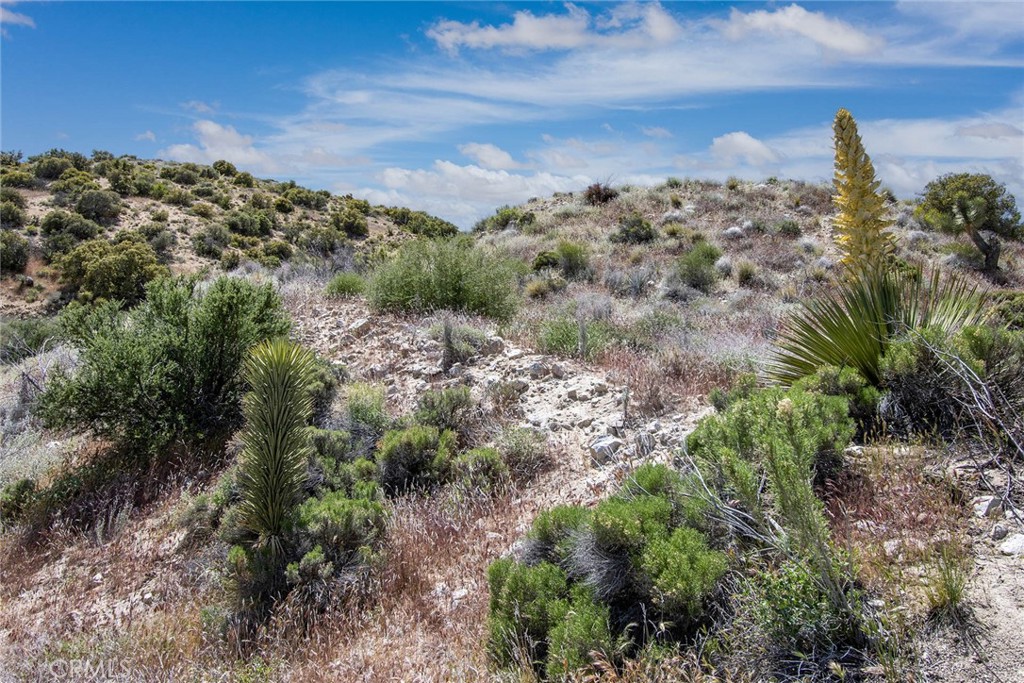 MLS #JT24207293 image #8