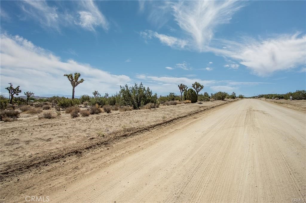 MLS #JT24207294 image #3