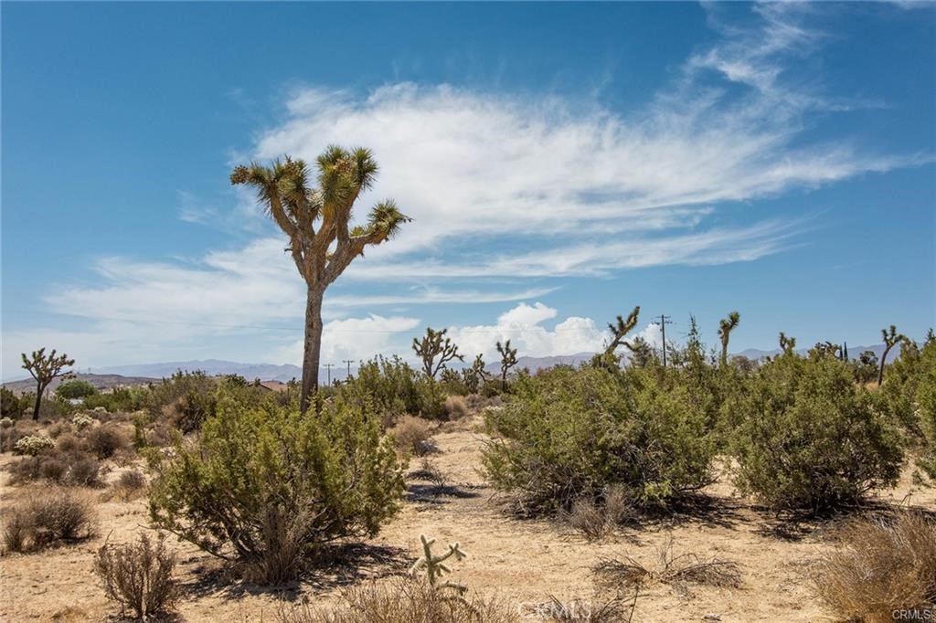 MLS #JT24207294 image #6