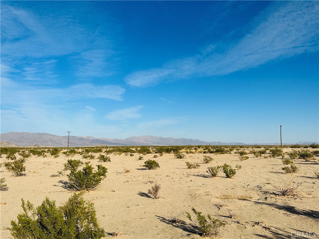 MLS #JT24209620 image #9