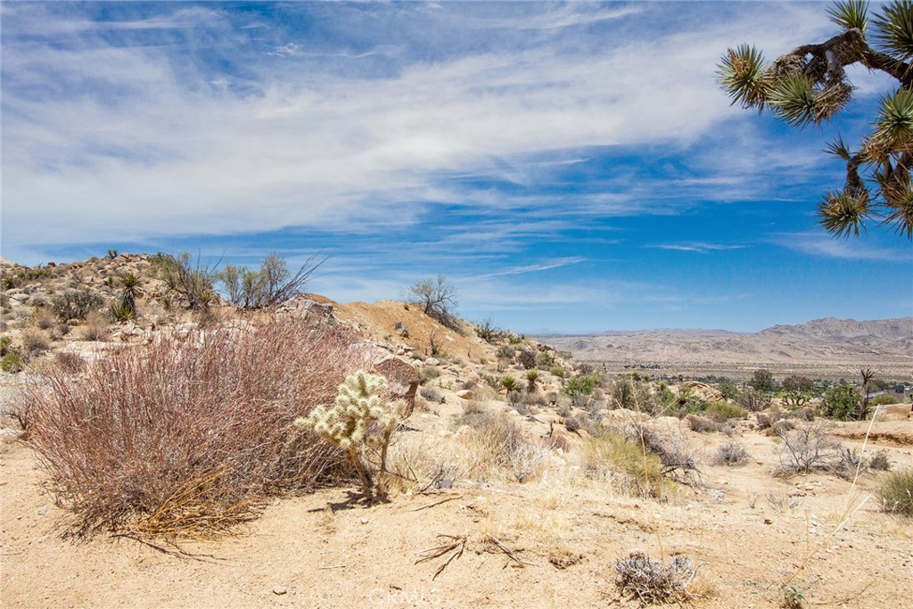 MLS #JT24214335 image #15