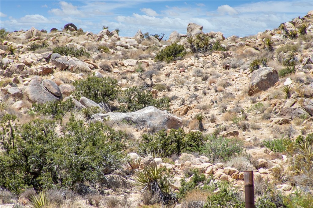 MLS #JT24214335 image #17